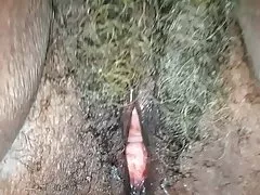 Ah sheila!  62 ano de idade vovó preta com bichano molhado cinza